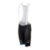 Felt Bicycles Felt Scatto Pro Bibshorts Black - Men's